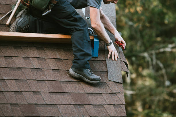 Roof Gutter Cleaning in North Bonneville, WA